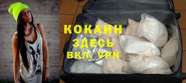 крисы Алексин
