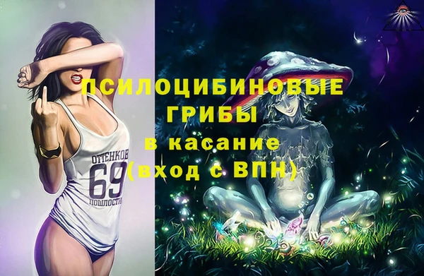 стафф Алексеевка