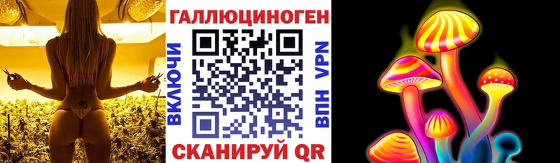 Псилоцибиновые грибы MAGIC MUSHROOMS  это как зайти  Шумерля  купить наркоту 
